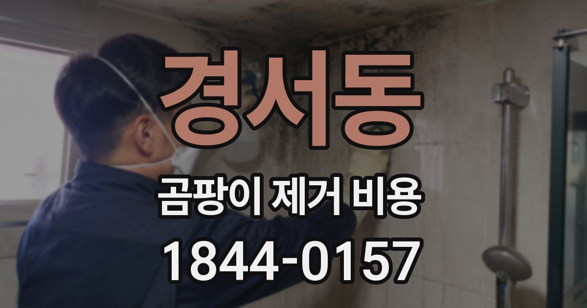 경서동 곰팡이 제거 비용