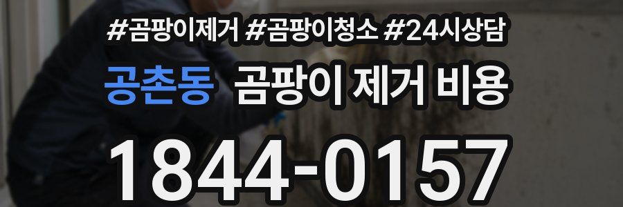 공촌동 곰팡이 제거 비용
