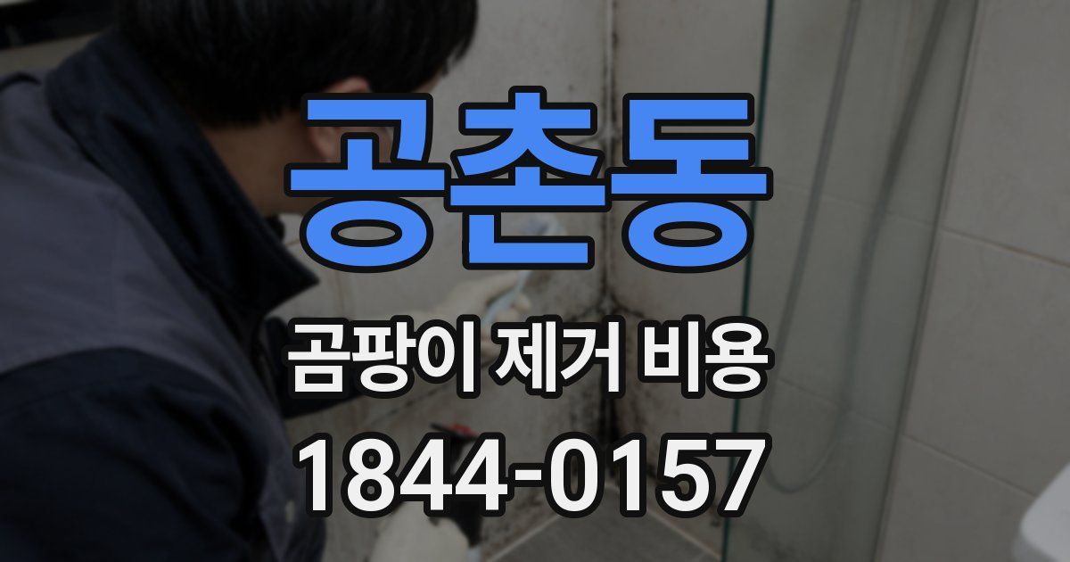 공촌동 곰팡이 제거 비용