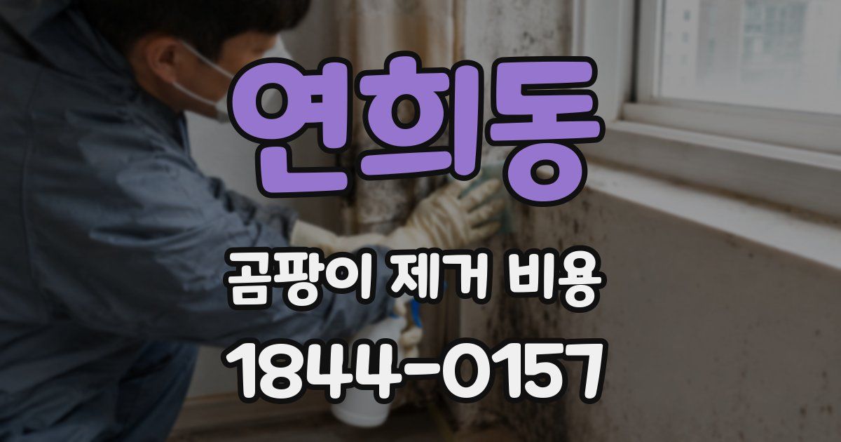 연희동 곰팡이 제거 비용