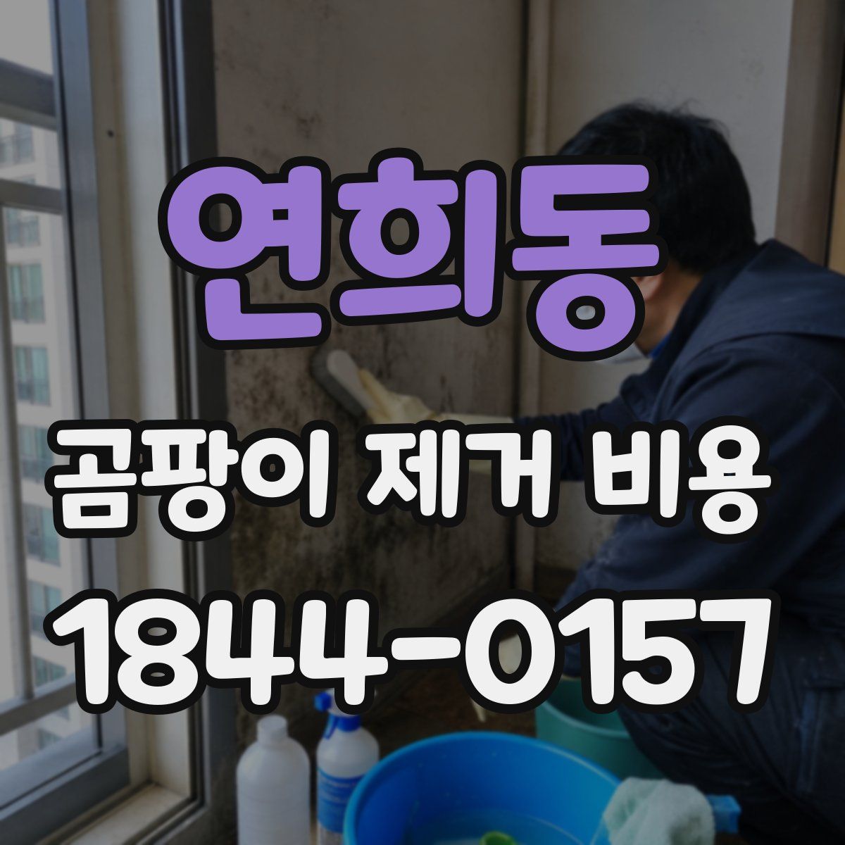 연희동 곰팡이 제거 비용