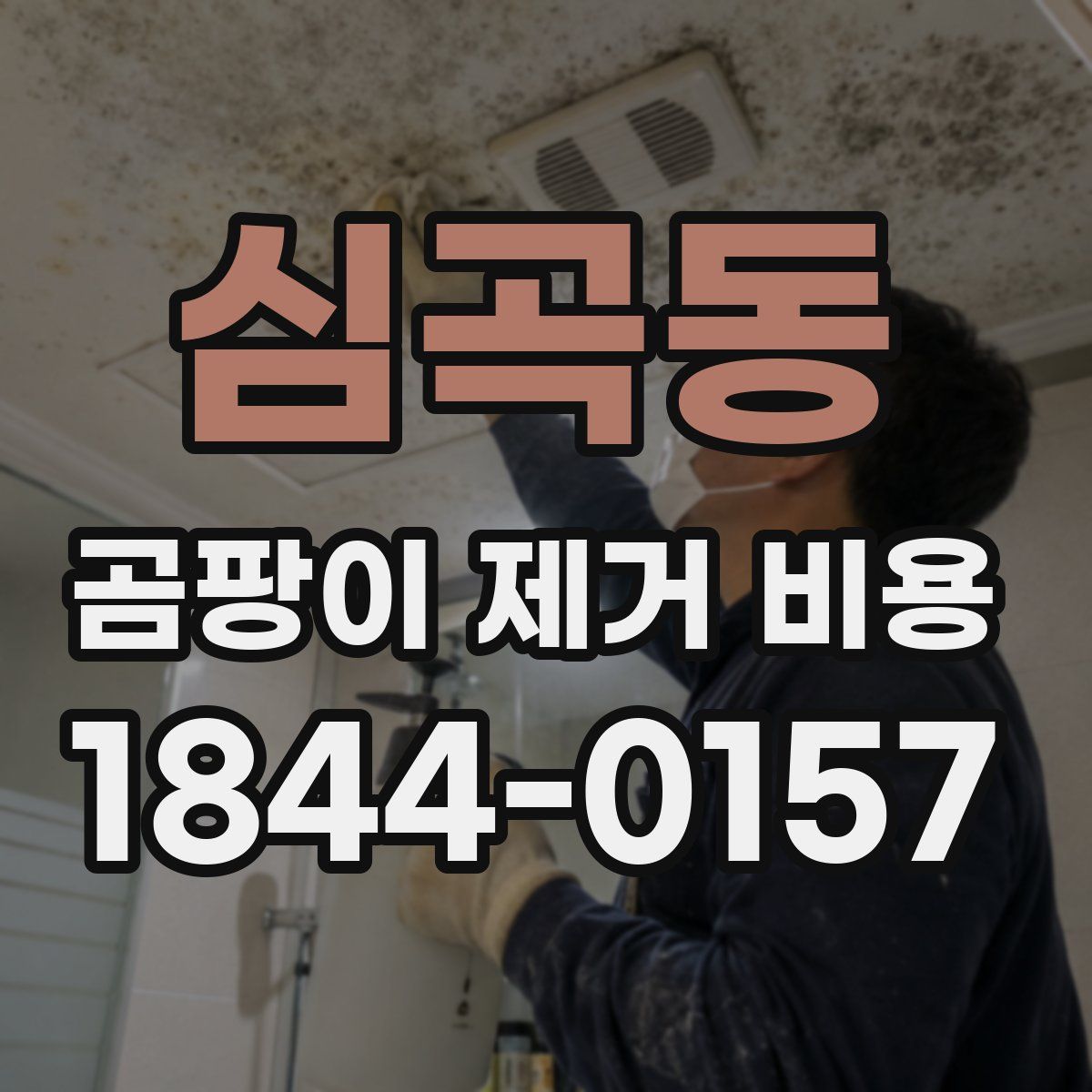 심곡동 곰팡이 제거 비용