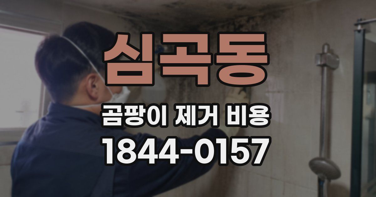 심곡동 곰팡이 제거 비용