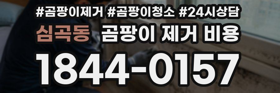 심곡동 곰팡이 제거 비용