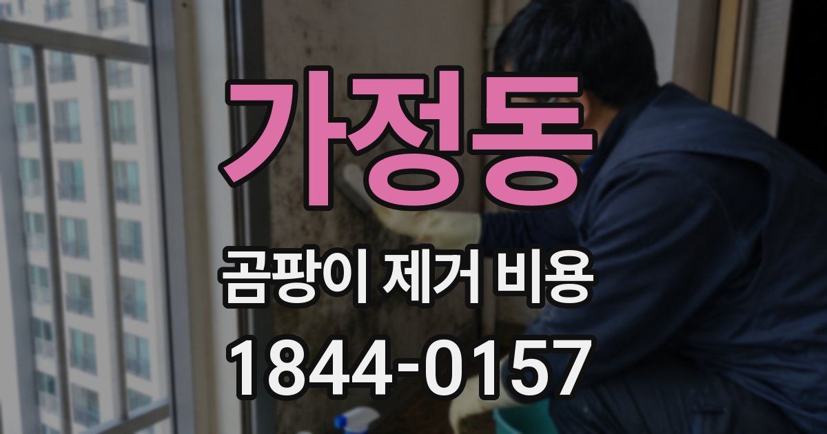 가정동 곰팡이 제거 비용