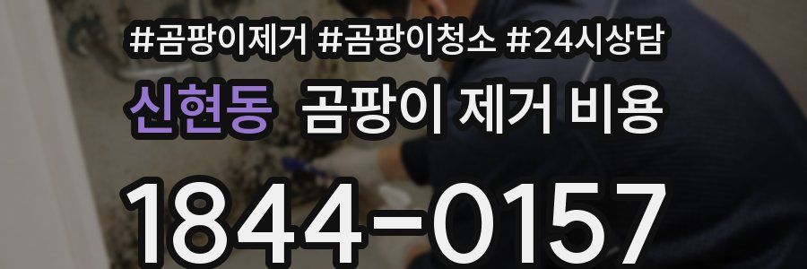 신현동 곰팡이 제거 비용