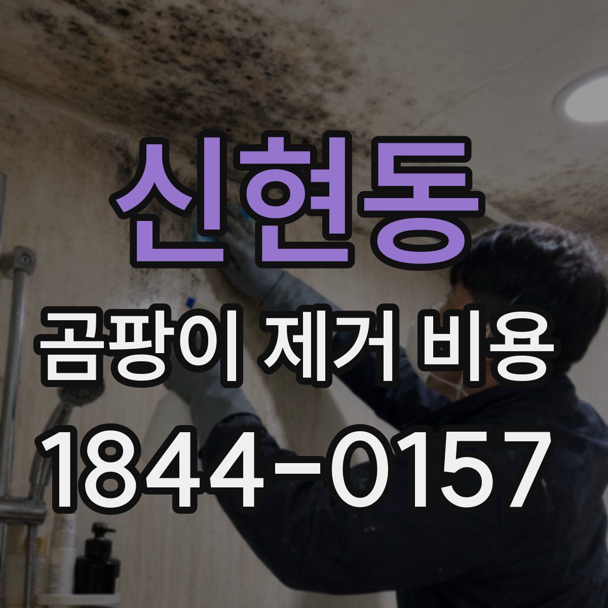 신현동 곰팡이 제거 비용