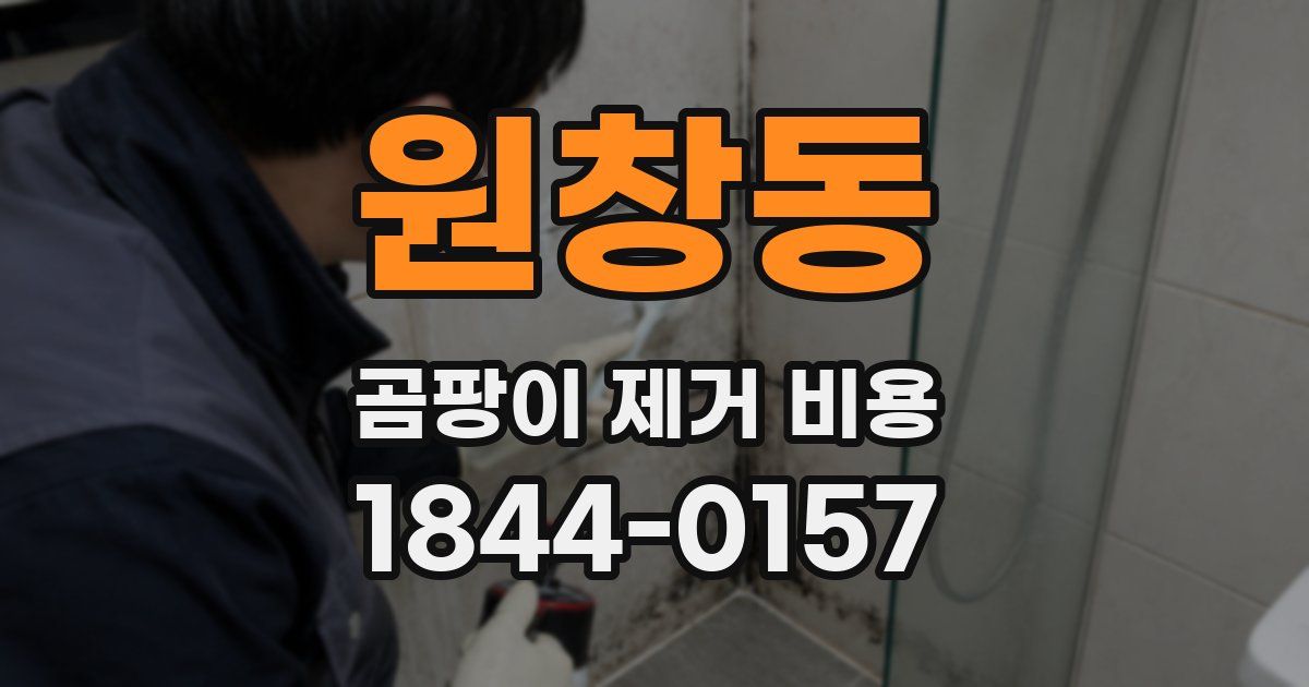 원창동 곰팡이 제거 비용