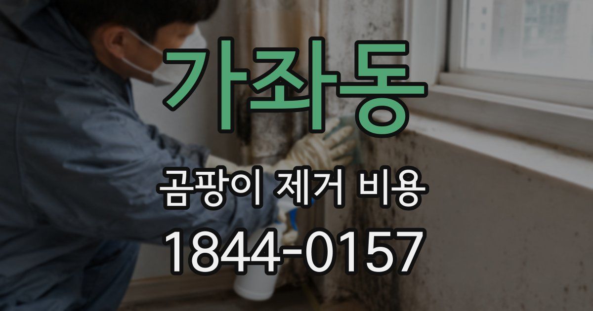 가좌동 곰팡이 제거 비용