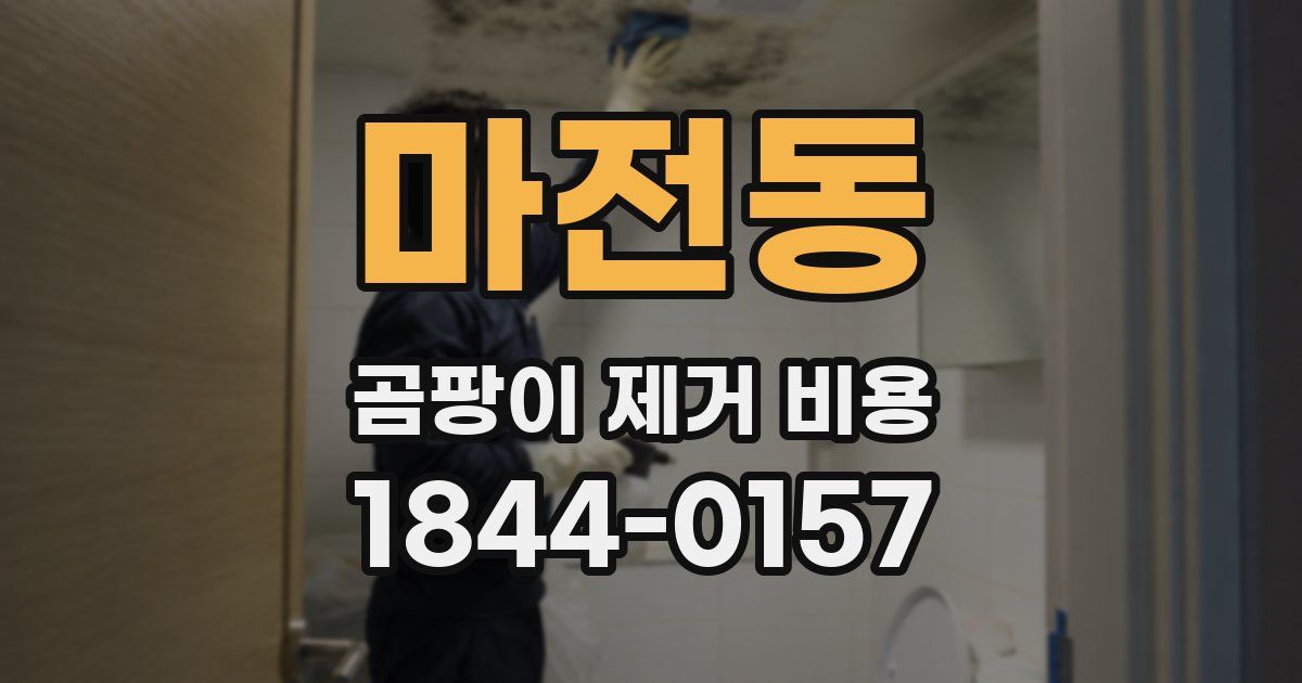 마전동 곰팡이 제거 비용