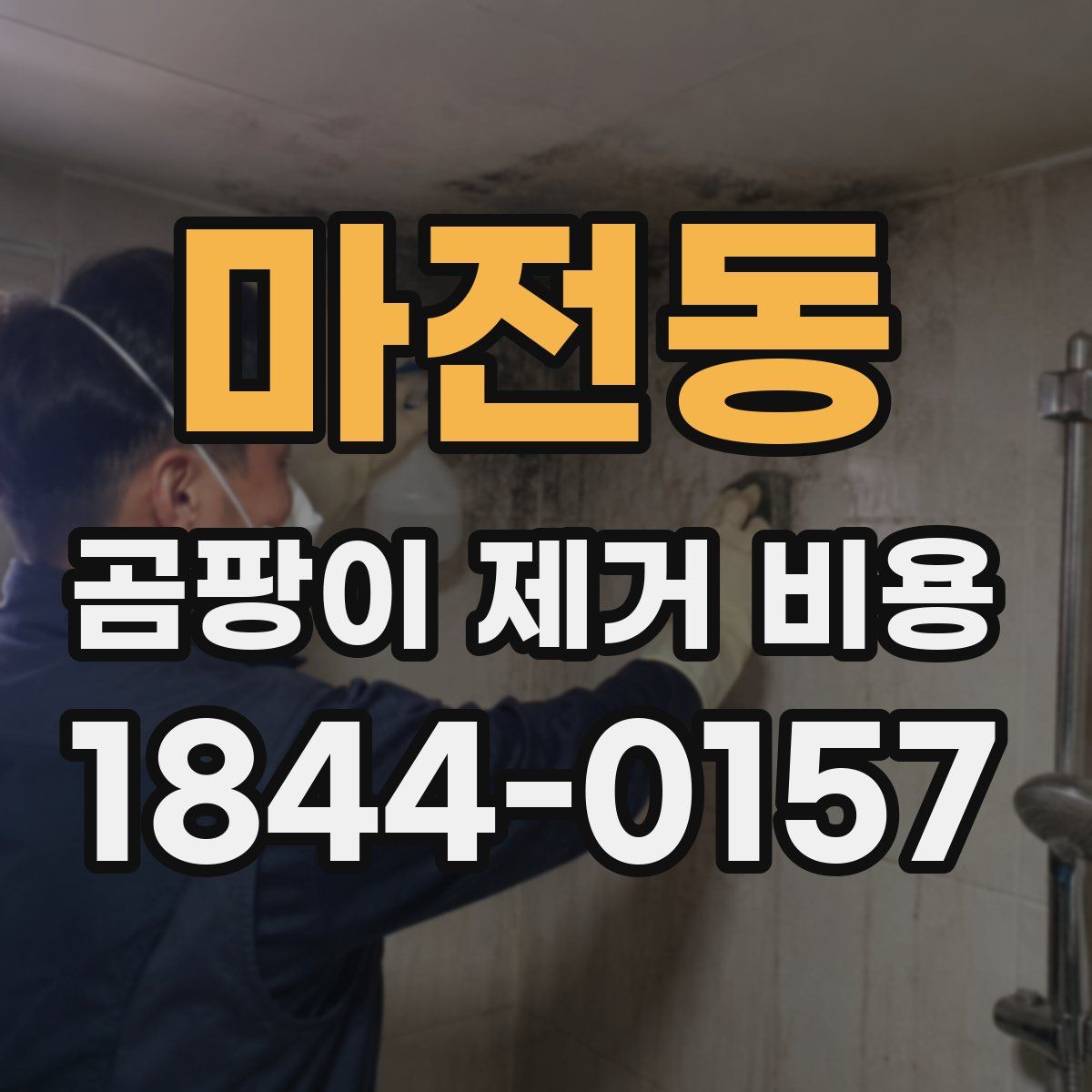마전동 곰팡이 제거 비용
