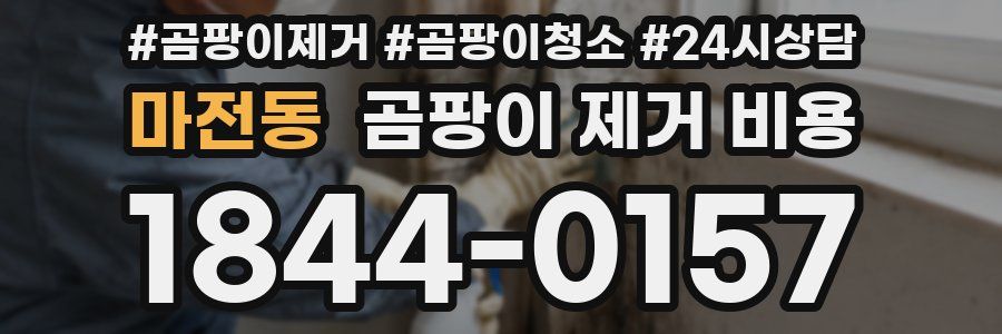 마전동 곰팡이 제거 비용