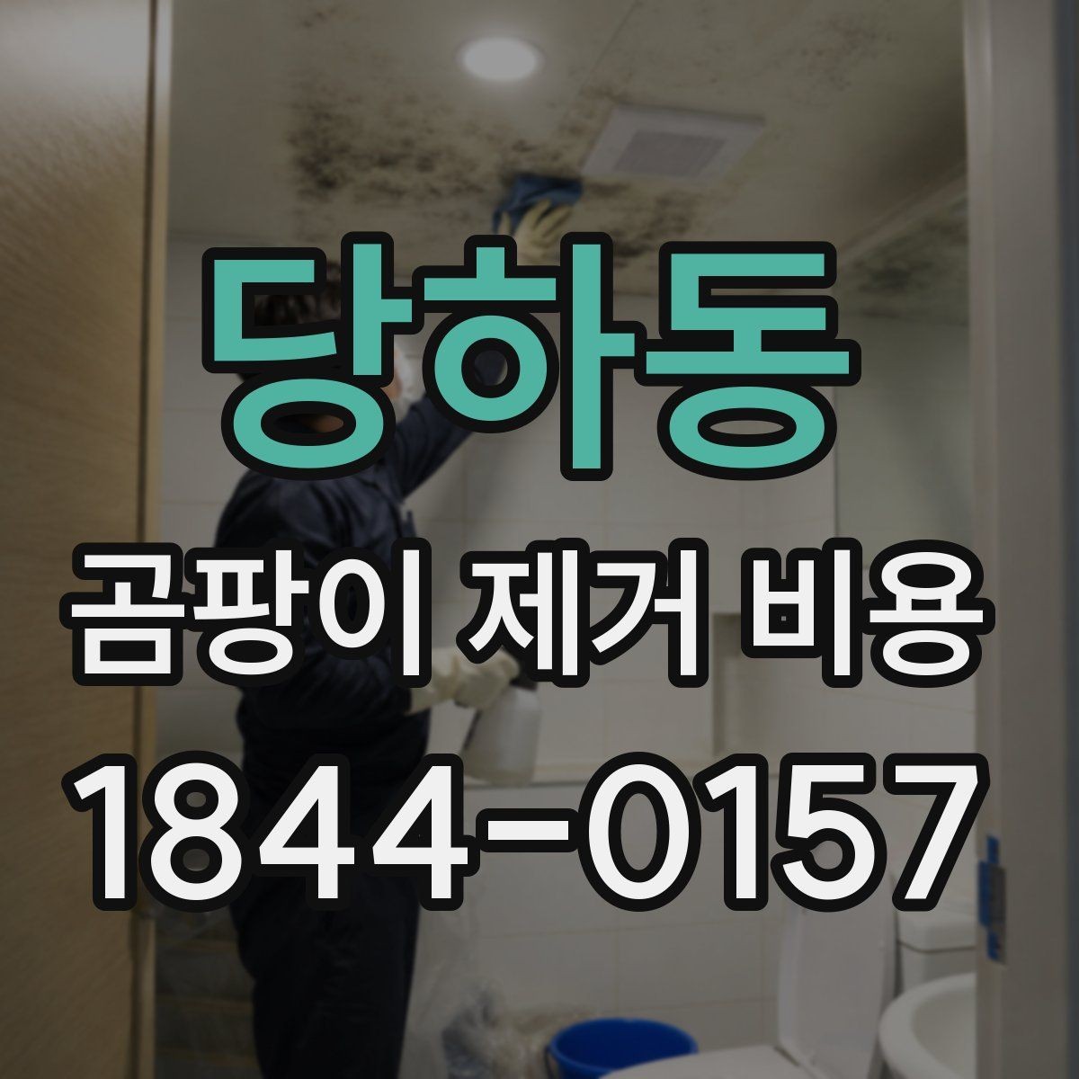 당하동 곰팡이 제거 비용 가전제품 주변 오염 처리 기준 살펴보기