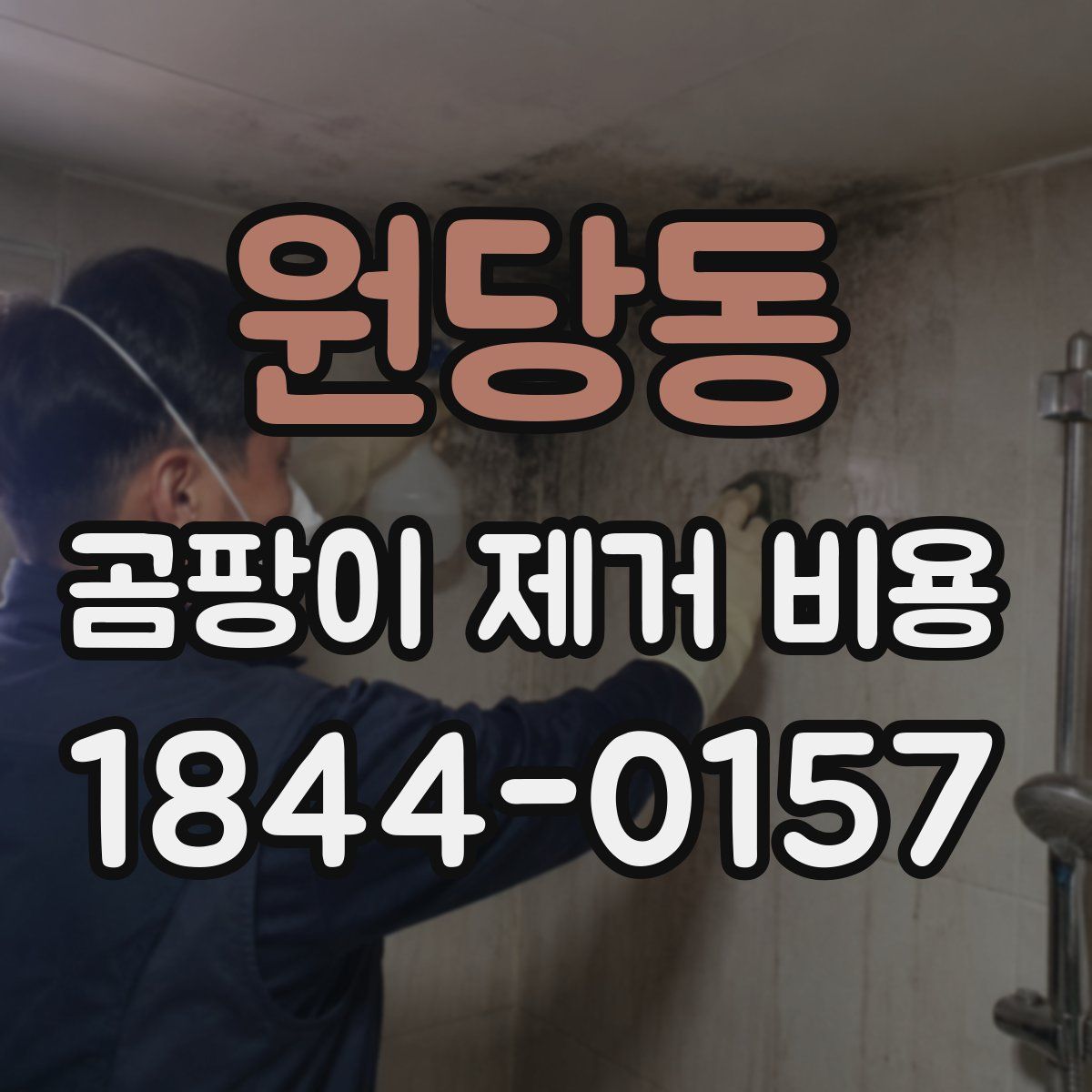 원당동 곰팡이 제거 비용