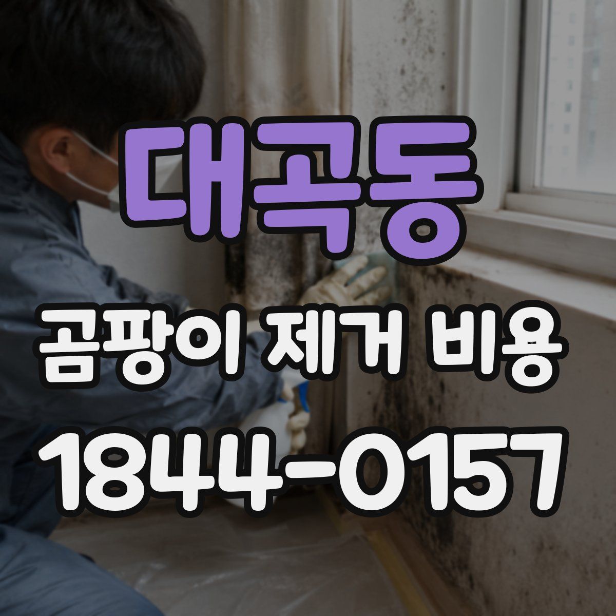 대곡동 곰팡이 제거 비용