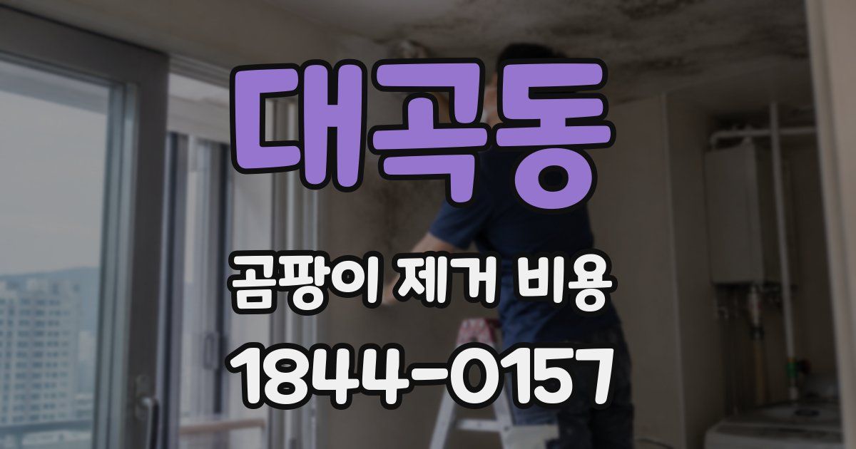 대곡동 곰팡이 제거 비용