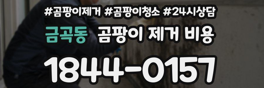 금곡동 곰팡이 제거 비용