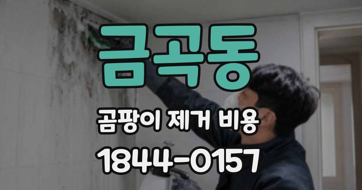 금곡동 곰팡이 제거 비용