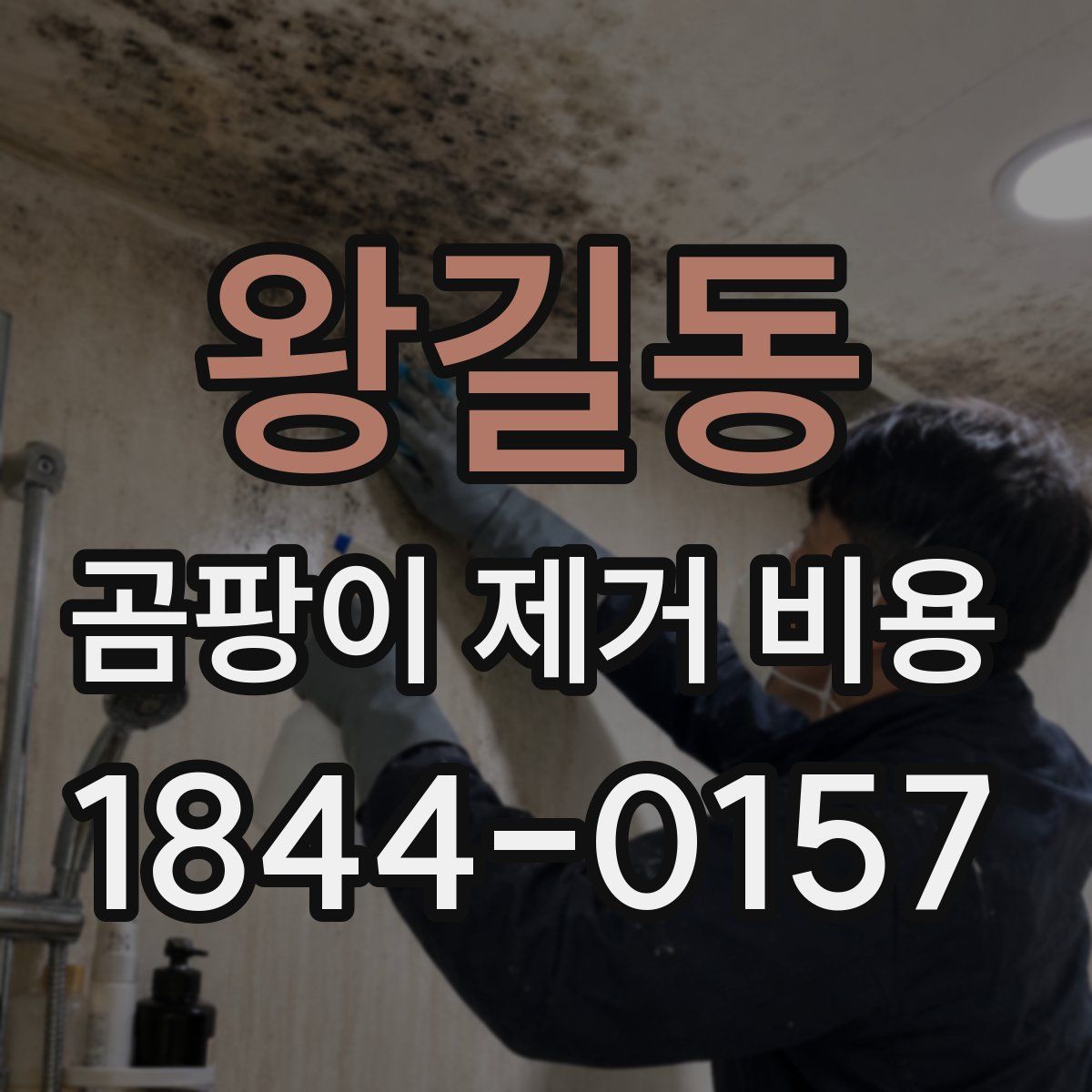왕길동 곰팡이 제거 비용