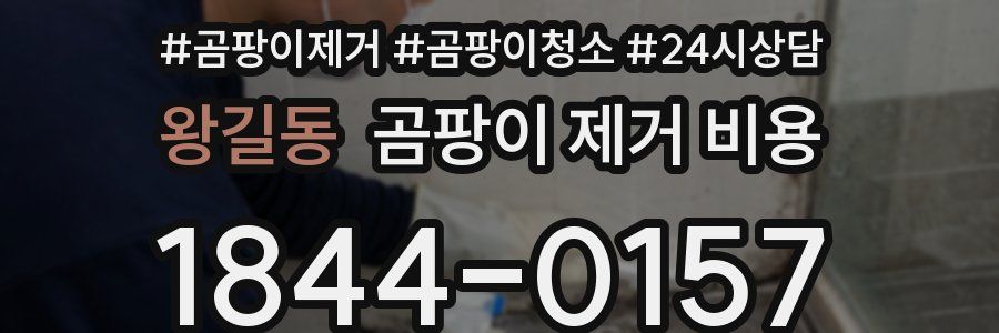 왕길동 곰팡이 제거 비용