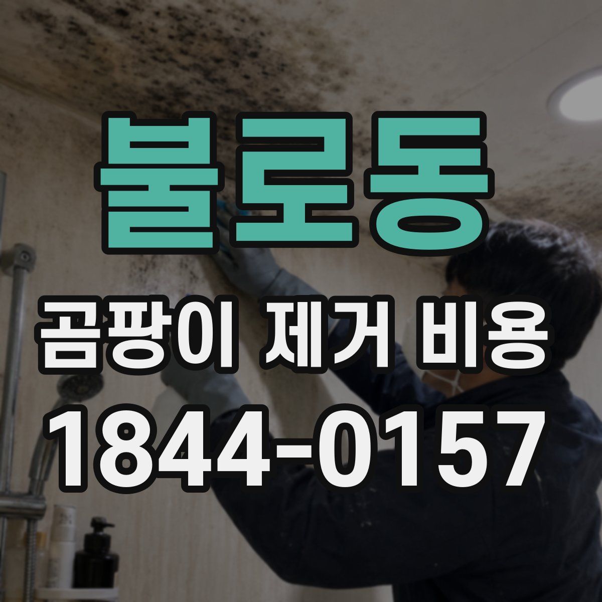 불로동 곰팡이 제거 비용