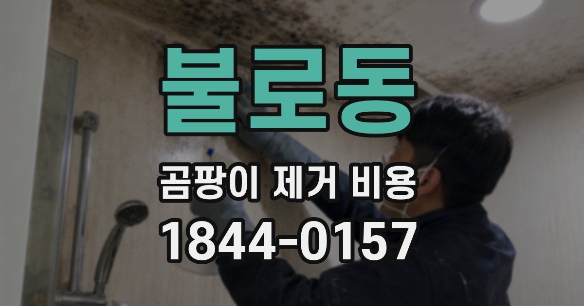 불로동 곰팡이 제거 비용