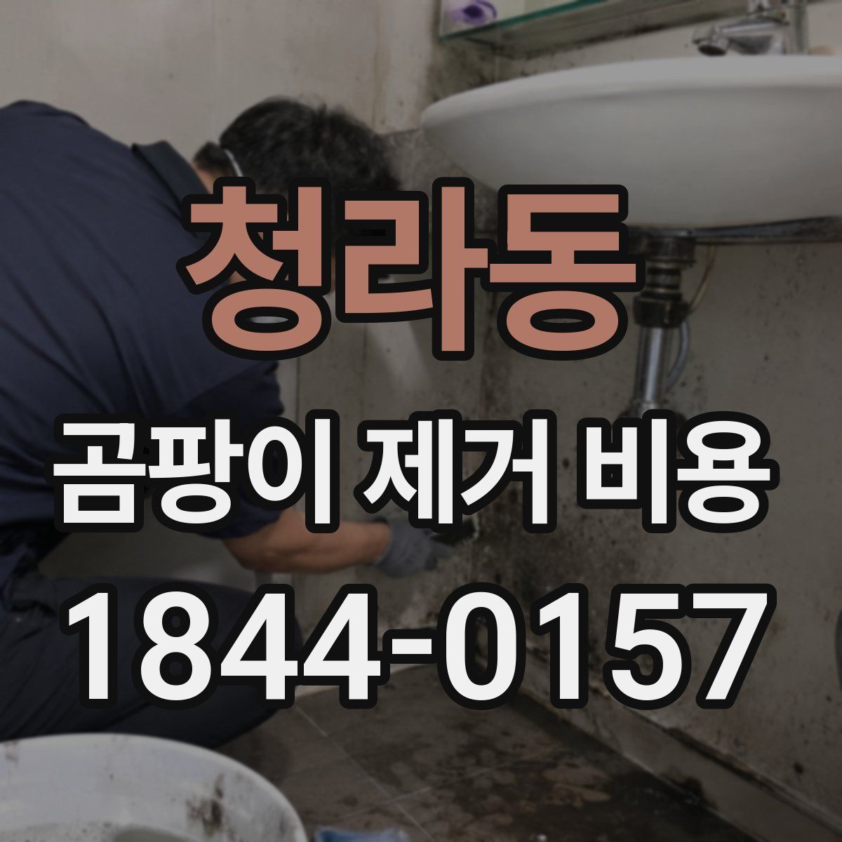 청라동 곰팡이 제거 비용