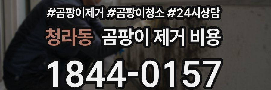 청라동 곰팡이 제거 비용