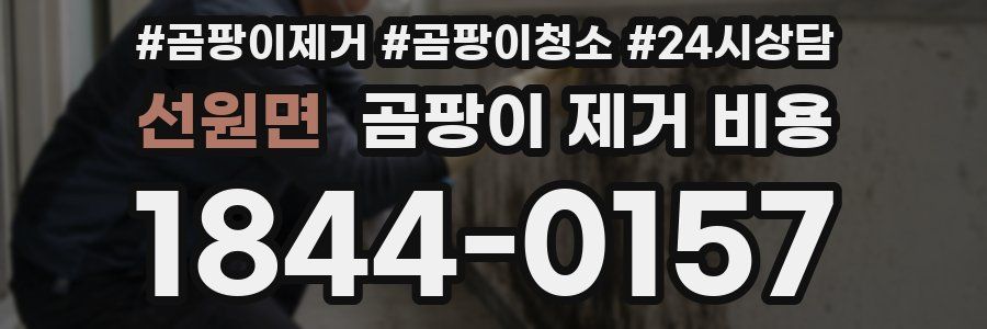 선원면 곰팡이 제거 비용