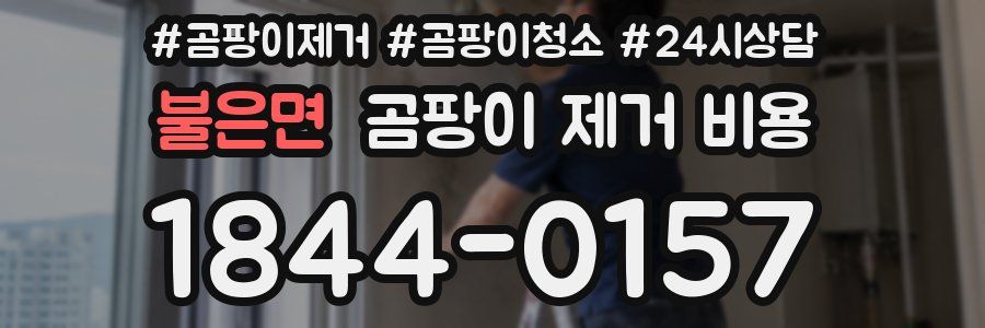 불은면 곰팡이 제거 비용