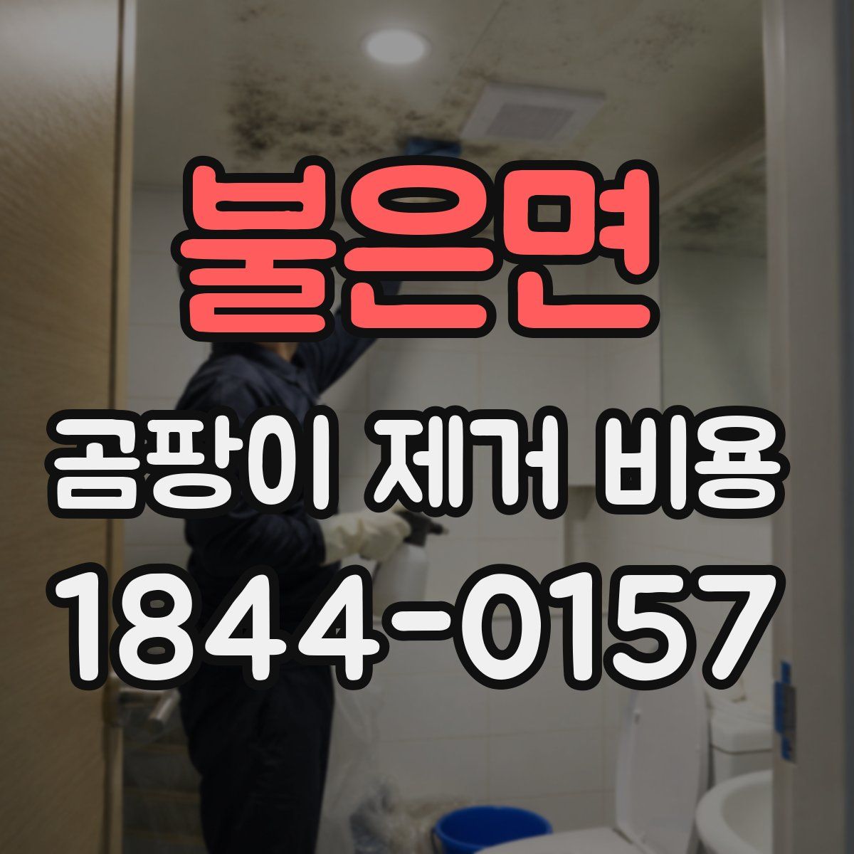 불은면 곰팡이 제거 비용