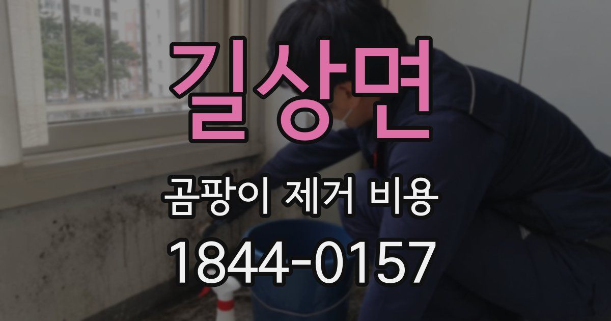 길상면 곰팡이 제거 비용