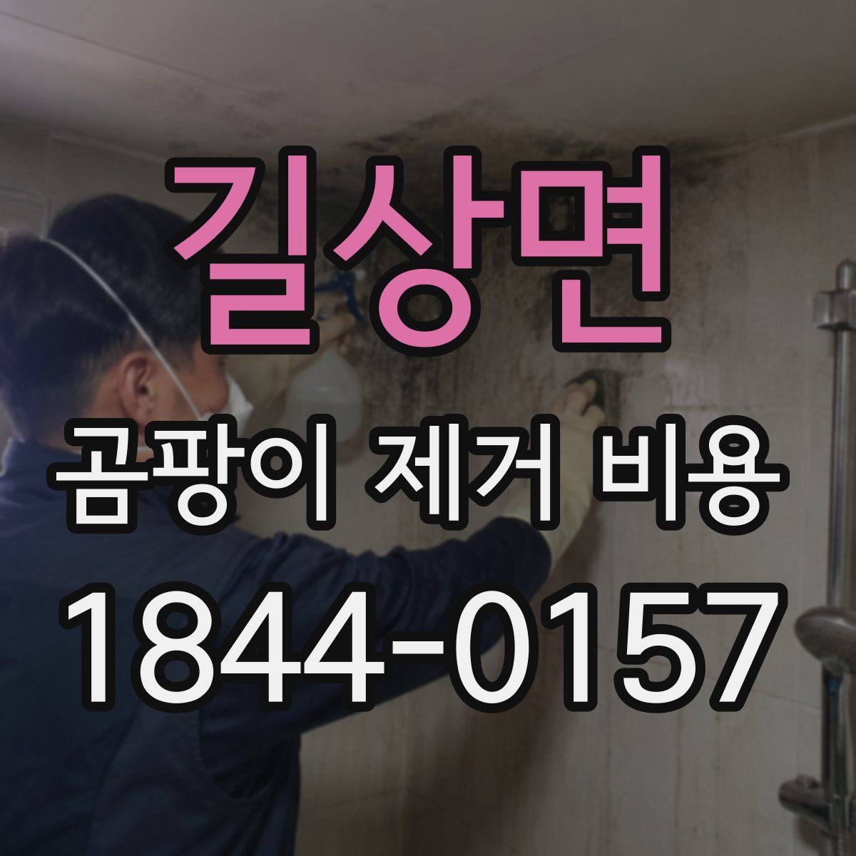 길상면 곰팡이 제거 비용