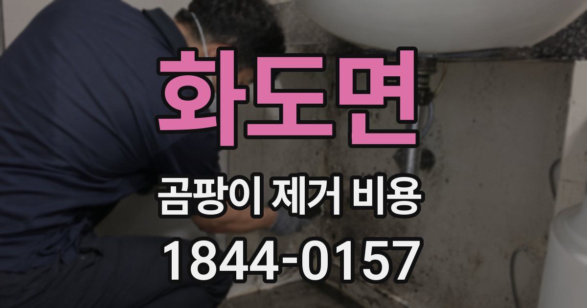 화도면 곰팡이 제거 비용