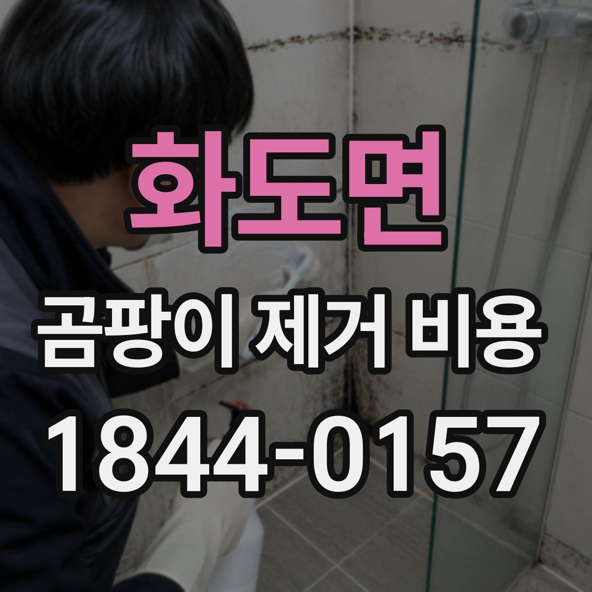 화도면 곰팡이 제거 비용