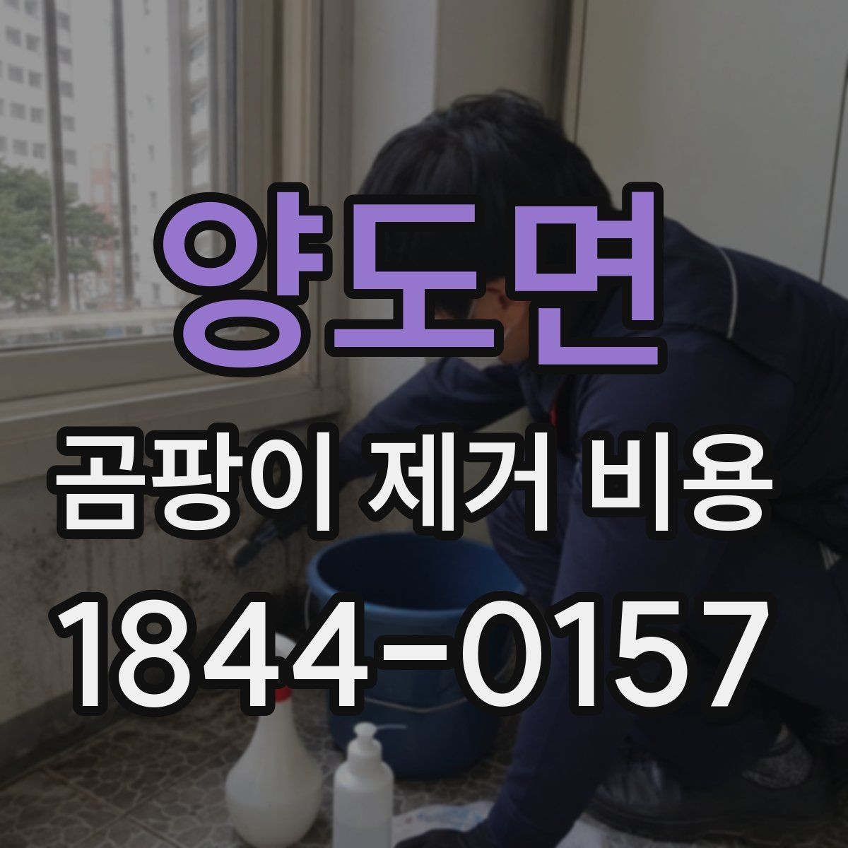 양도면 곰팡이 제거 비용 소독 작업 포함 여부를 업체별로 비교