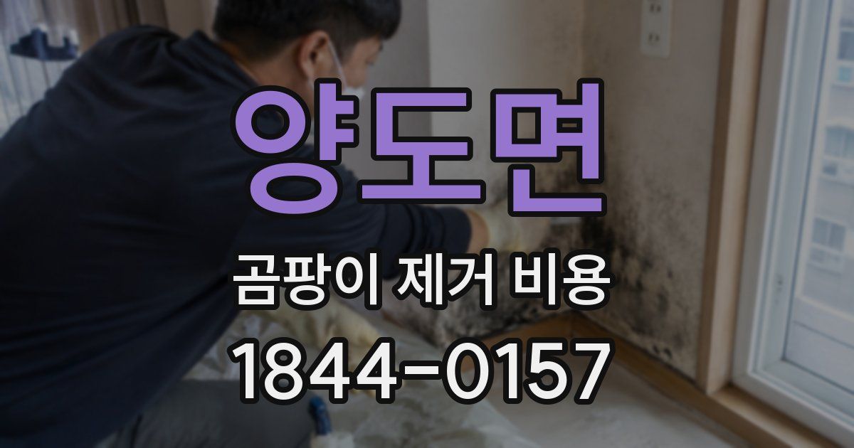 양도면 곰팡이 제거 비용