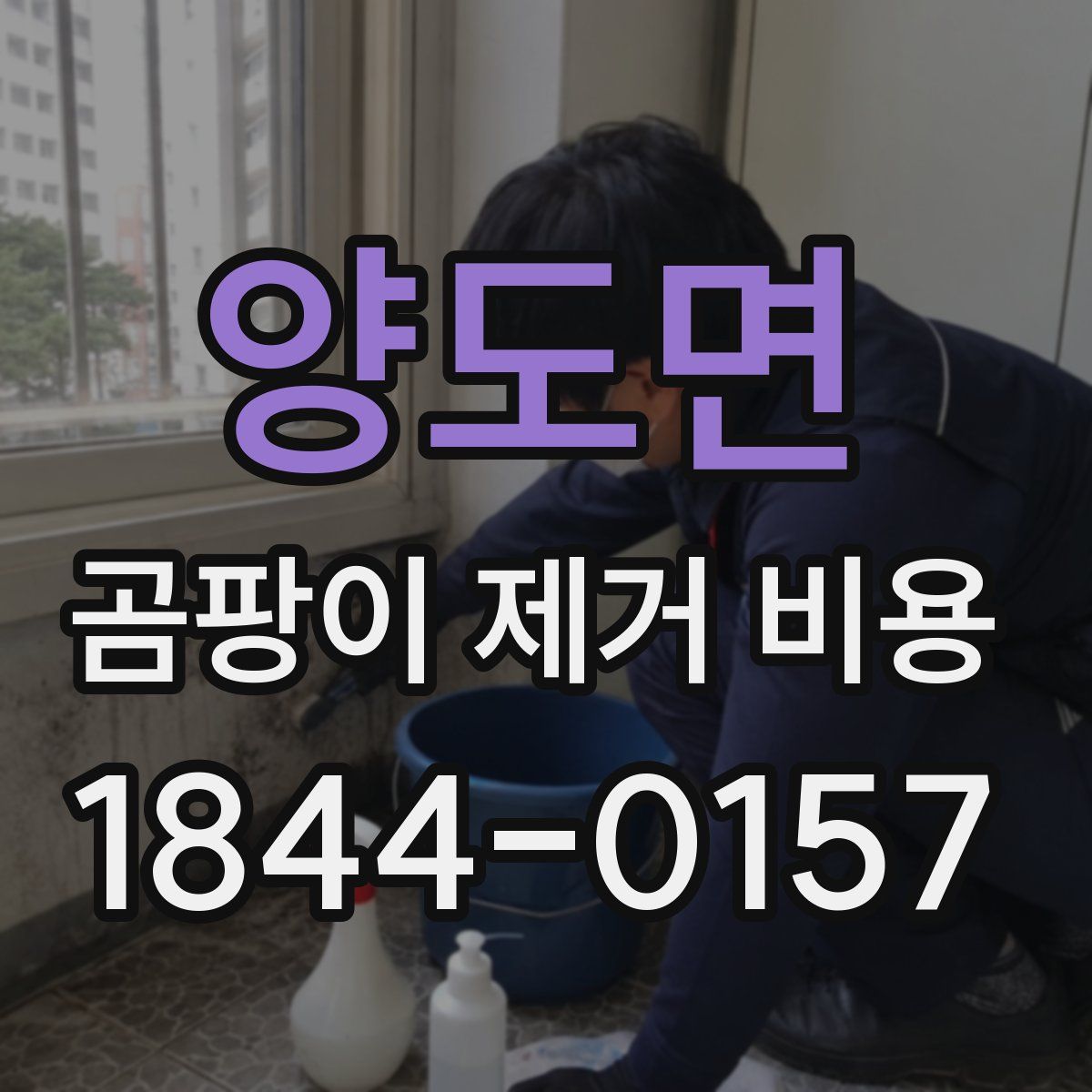 양도면 곰팡이 제거 비용