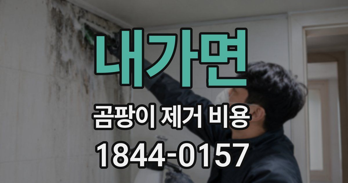 내가면 곰팡이 제거 비용
