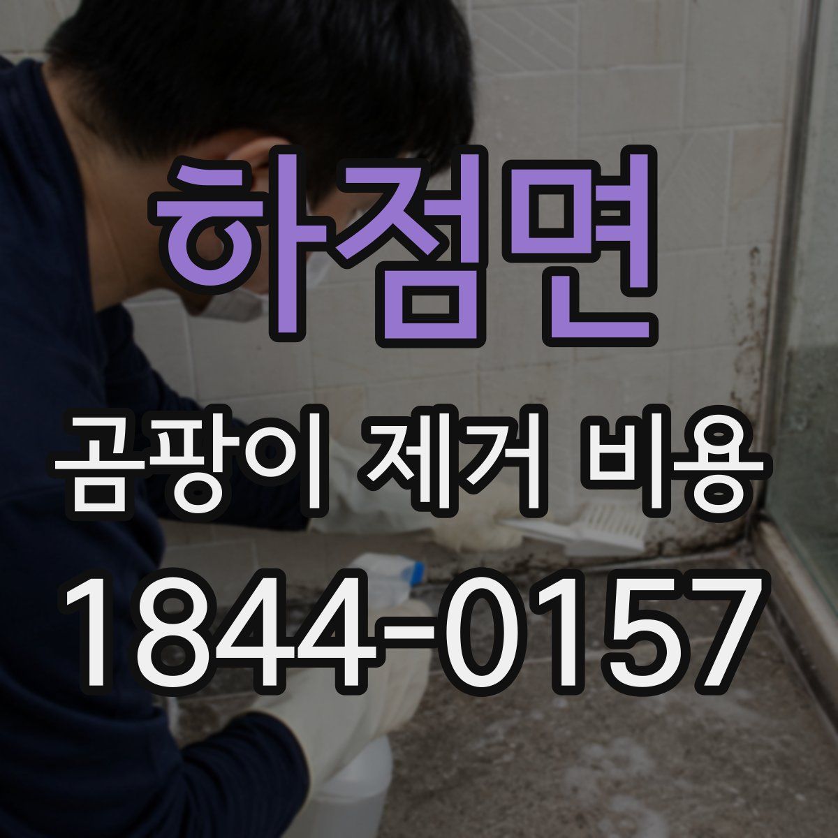 하점면 곰팡이 제거 비용