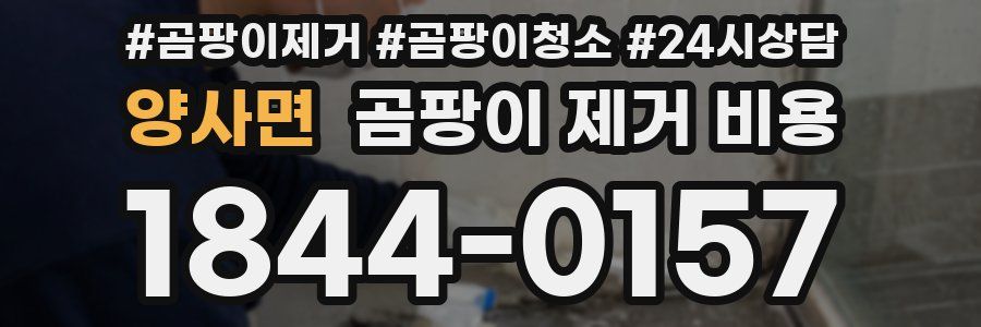 양사면 곰팡이 제거 비용