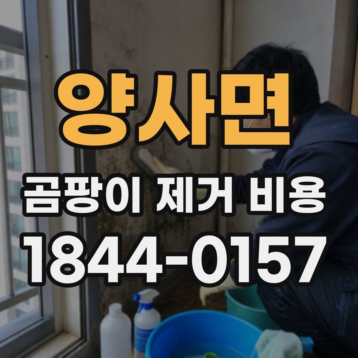 양사면 곰팡이 제거 비용