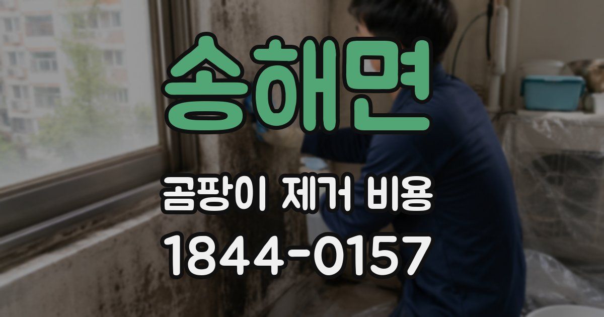송해면 곰팡이 제거 비용