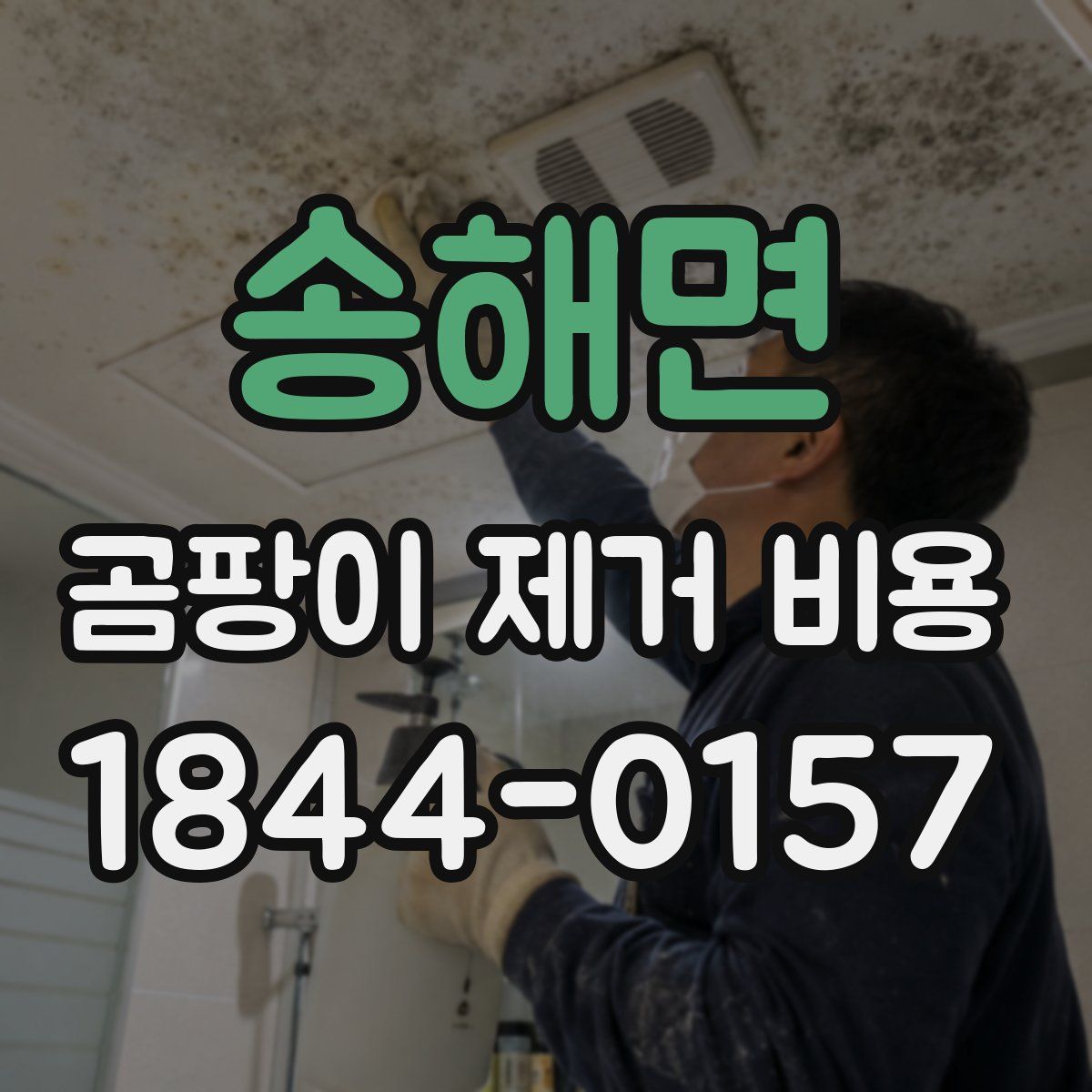 송해면 곰팡이 제거 비용