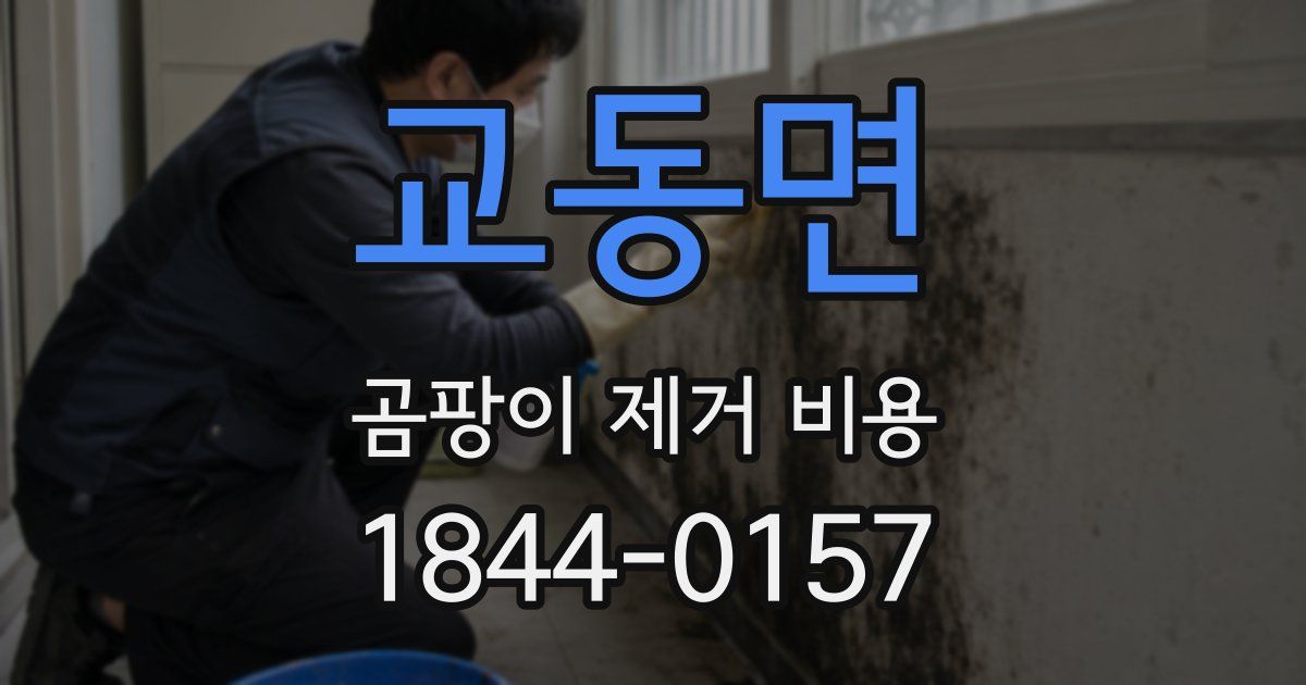 교동면 곰팡이 제거 비용