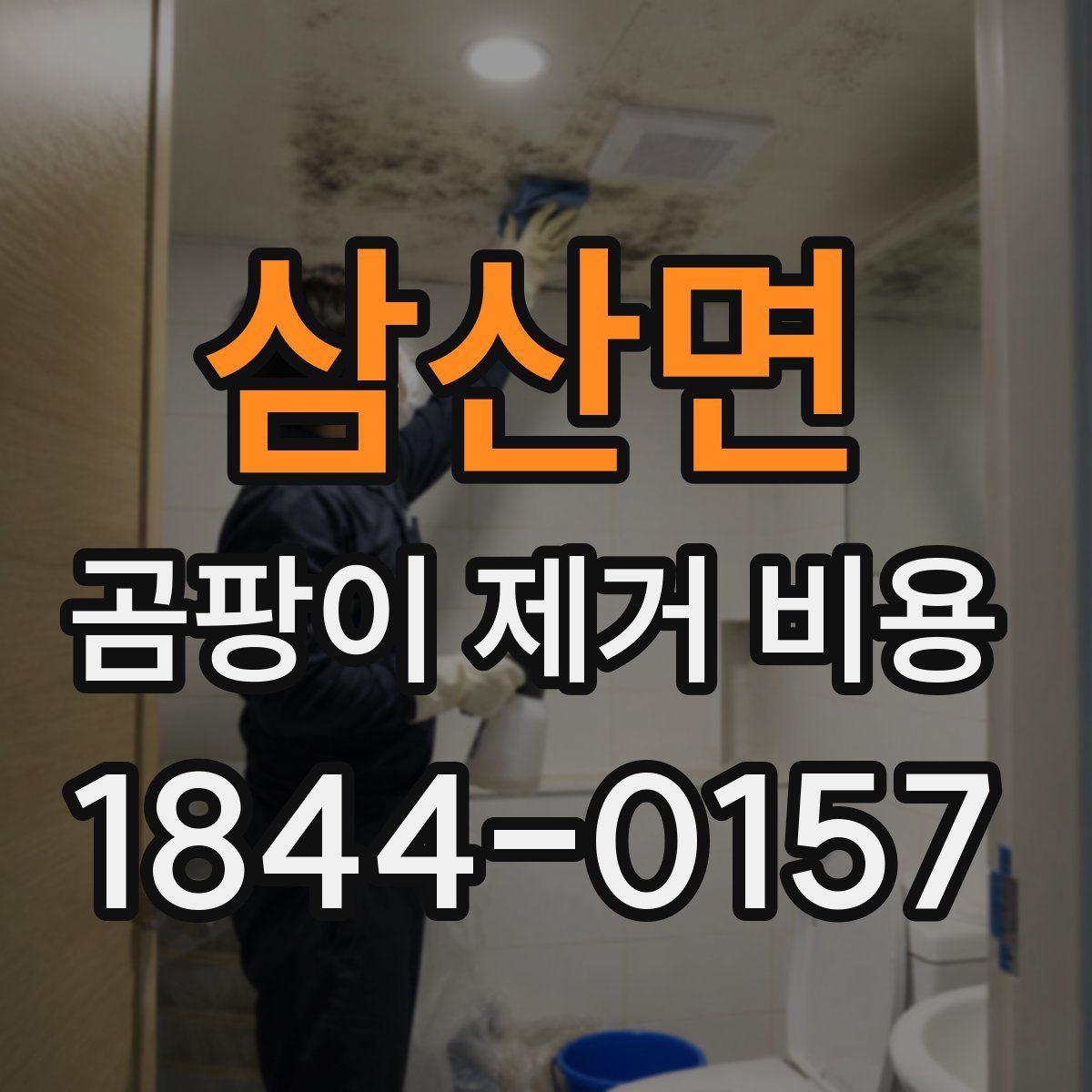 삼산면 곰팡이 제거 비용
