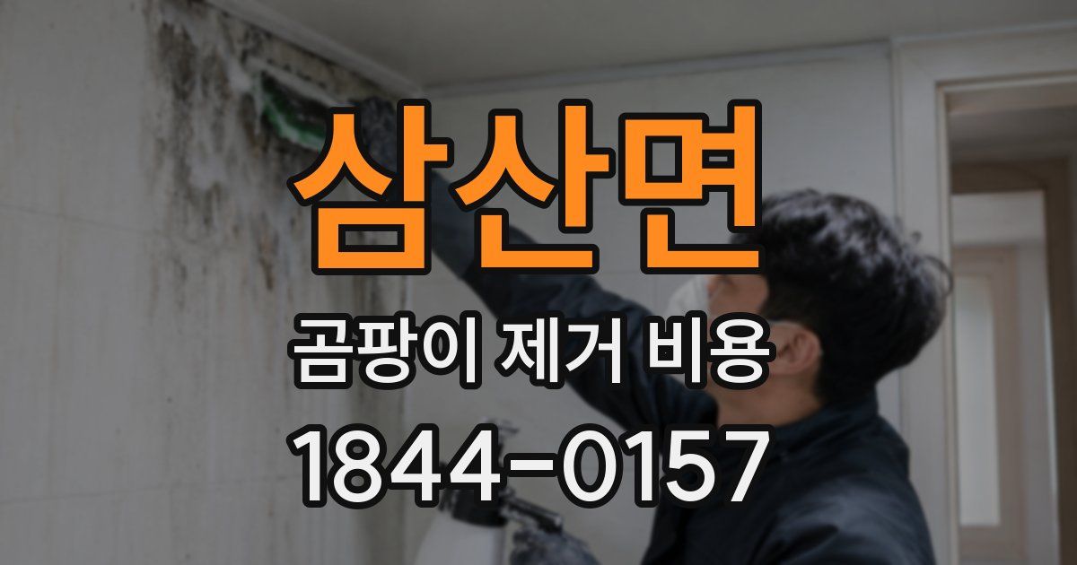 삼산면 곰팡이 제거 비용