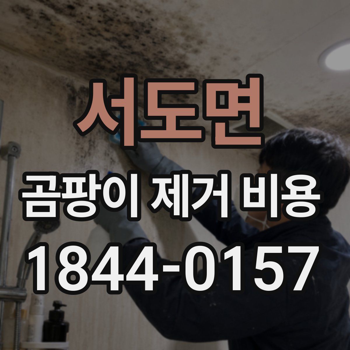 서도면 곰팡이 제거 비용