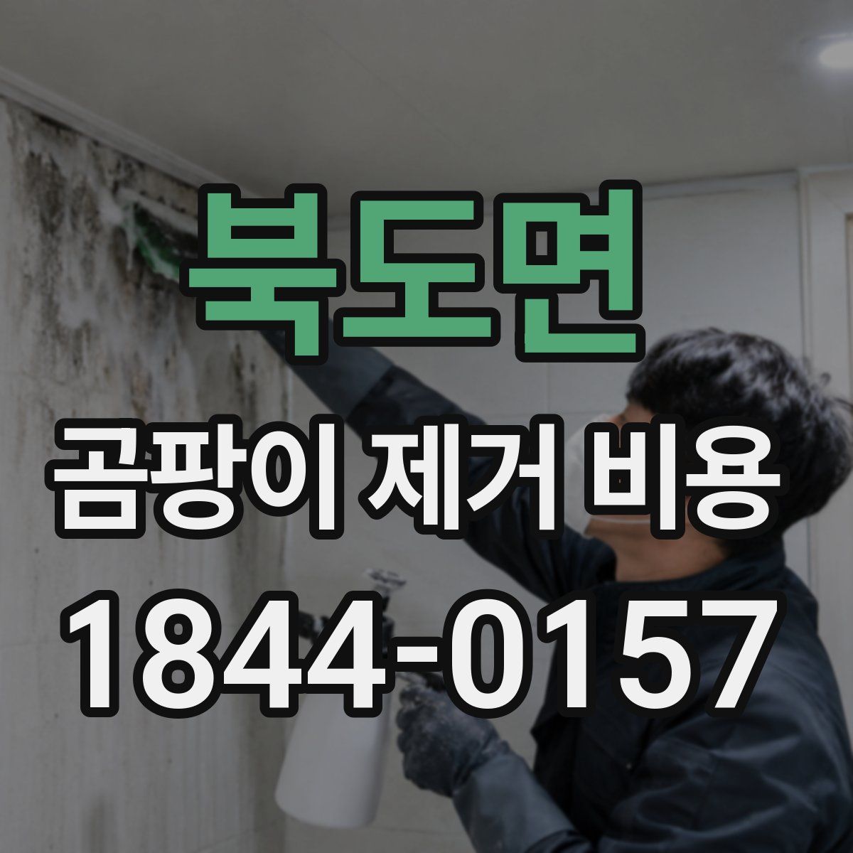 북도면 곰팡이 제거 비용