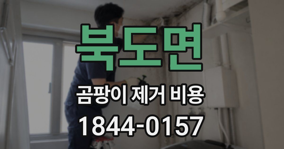 북도면 곰팡이 제거 비용